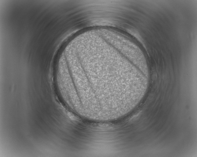 X0000068720979200605192249