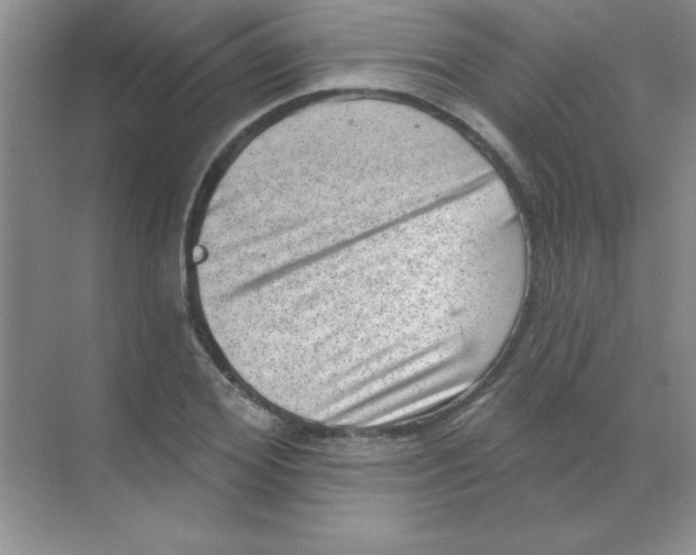 X0000068720980200605192249