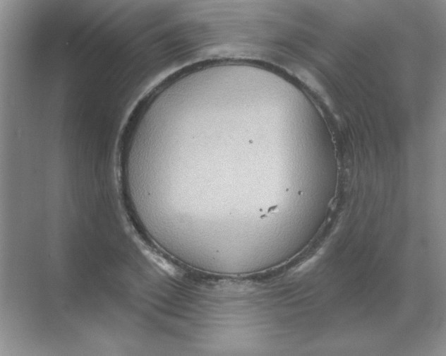 X0000068720981200605192249