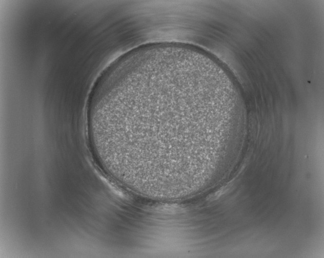 X0000068720982200605192249