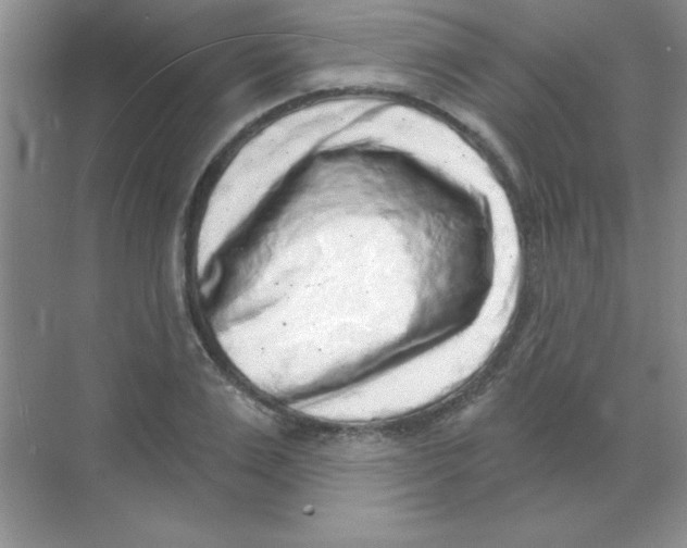 X0000068720983200605192249