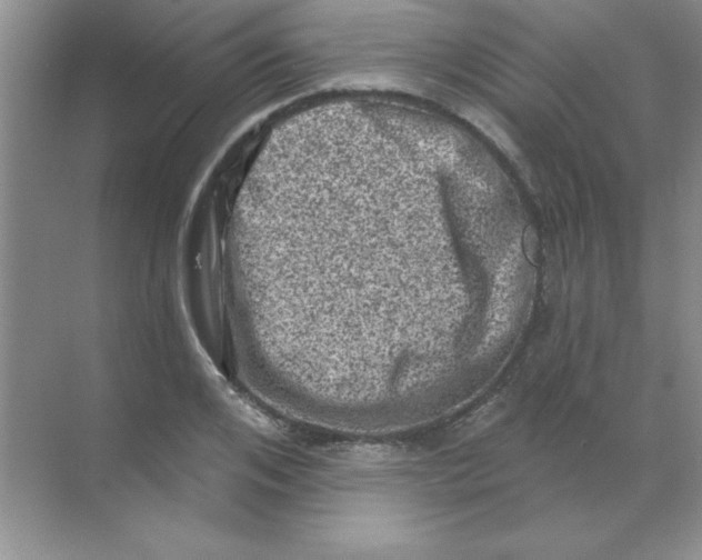 X0000068720984200605192249