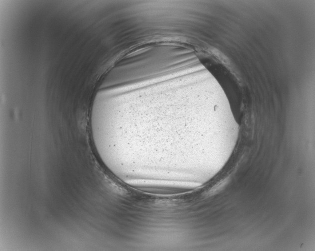 X0000068720985200605192249