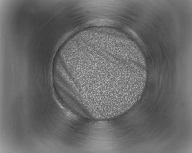 X0000068720986200605192249