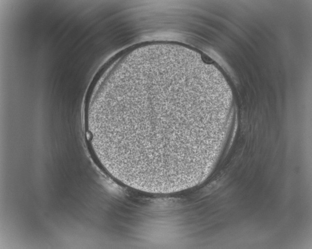 X0000068720988200605192249