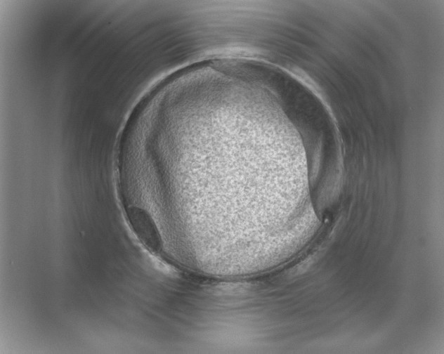 X0000068720989200605192249