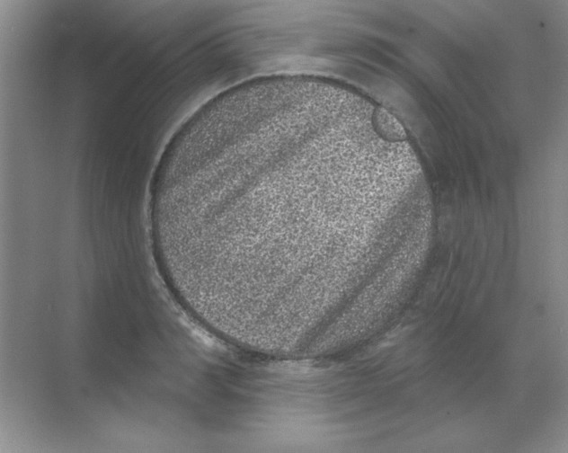 X0000068720990200605192249