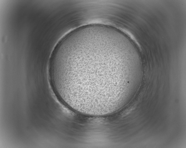 X0000068720991200605192249