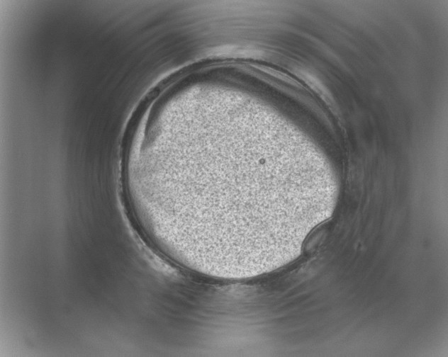 X0000068720992200605192248