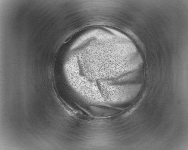 X0000068720993200605192248