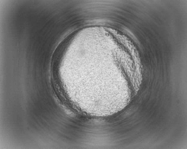 X0000068720994200605192248