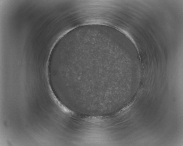 X0000068720995200605192248