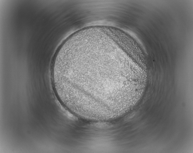 X0000068720998200605192248