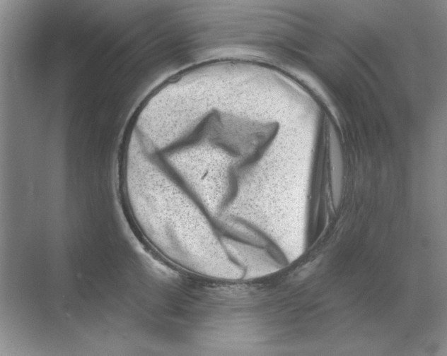 X0000068720999200605192248