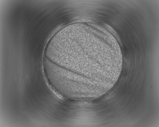 X0000068721002200605192248