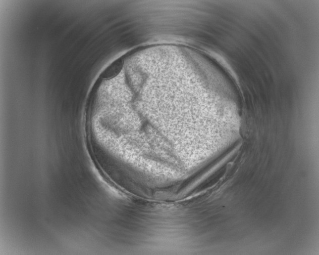 X0000068721003200605192248