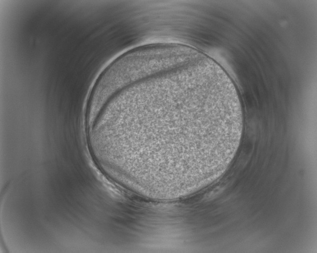 X0000068721004200605192248