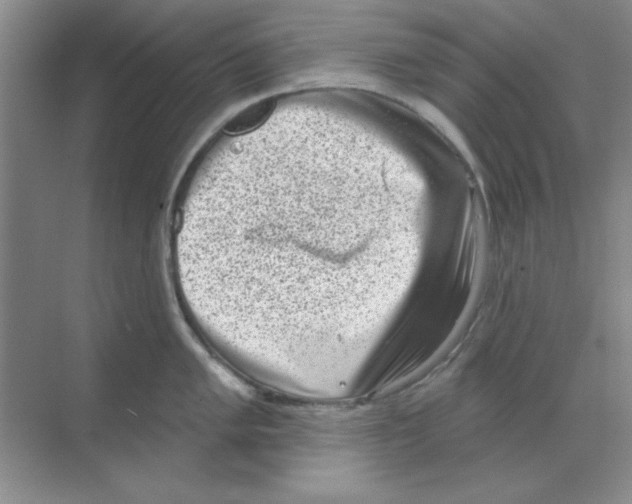 X0000068721005200605192248