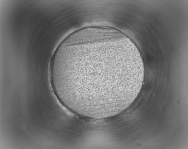 X0000068721006200605192248