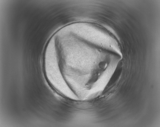 X0000068721007200605192248