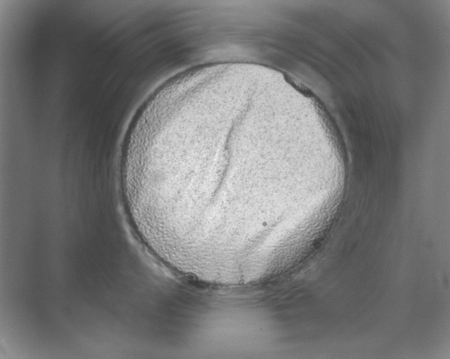 X0000068721008200605192248