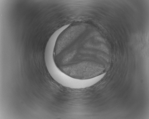 X0000068721010200605192247