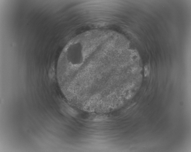 X0000068721011200605192247