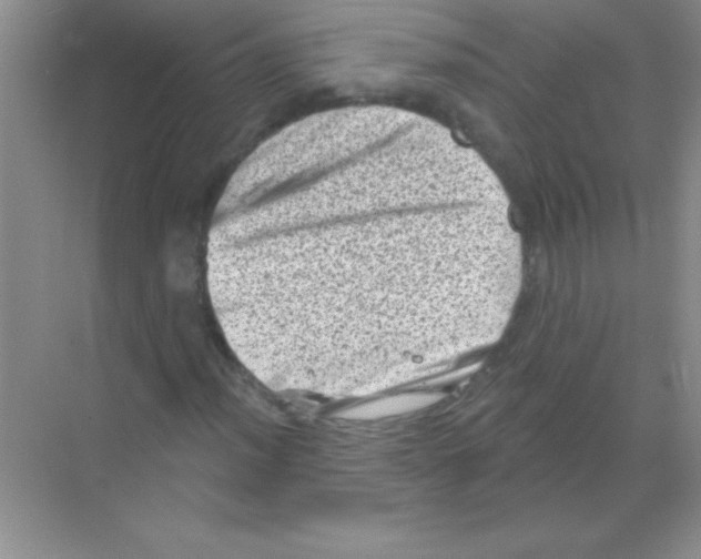 X0000068721012200605192247