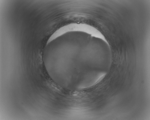 X0000068721013200605192247