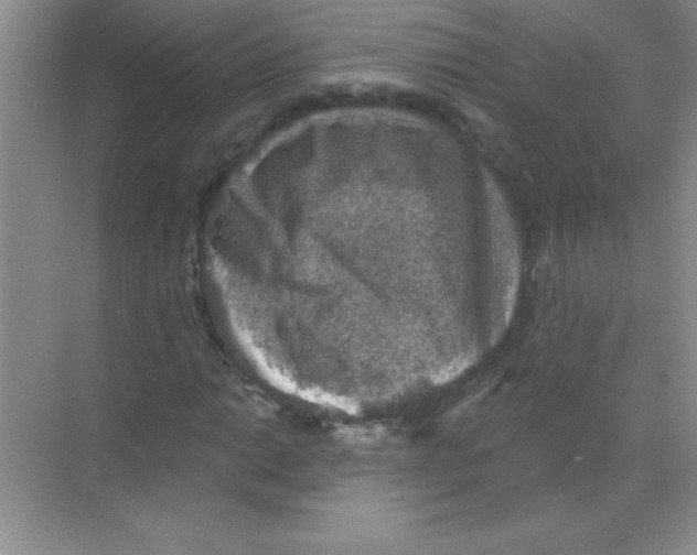 X0000068721014200605192247