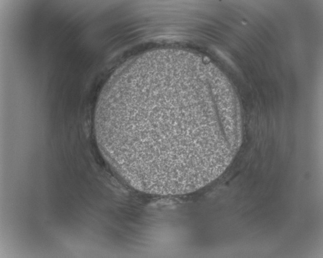 X0000068721015200605192248