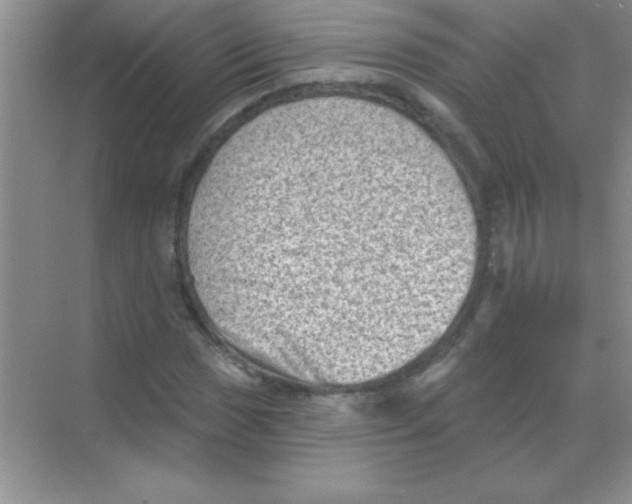 X0000068721017200605192248