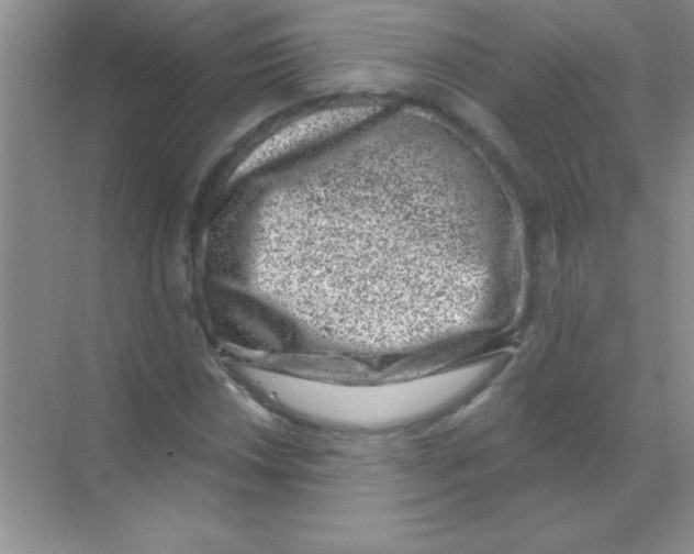 X0000068721018200605192248