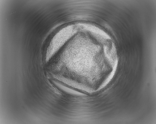 X0000068721019200605192248