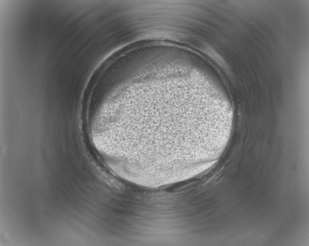 X0000068721020200605192248