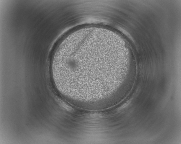 X0000068721021200605192248