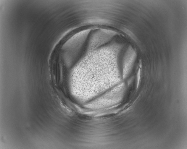 X0000068721022200605192248