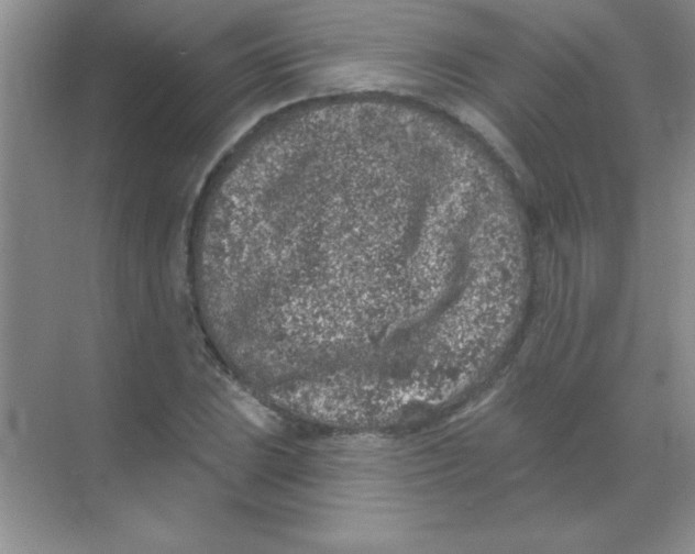 X0000068721023200605192248