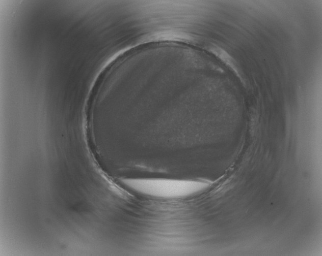 X0000068721024200605192248