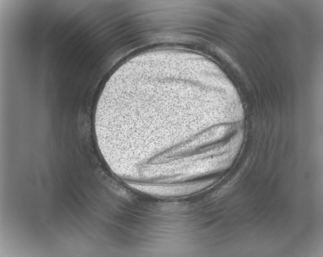 X0000068721025200605192248