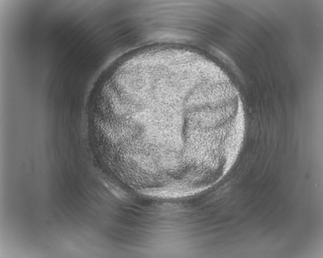 X0000068721027200605192248