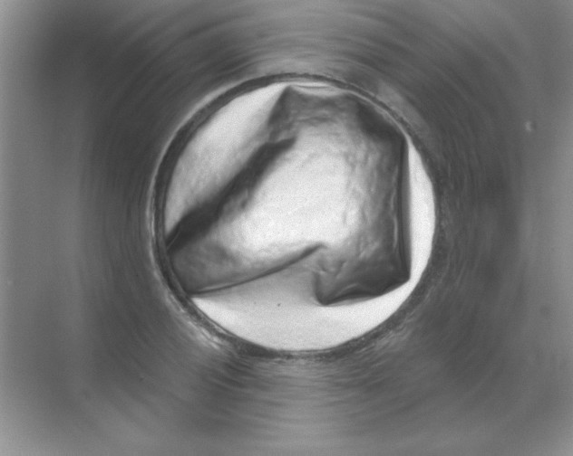 X0000068721028200605192248