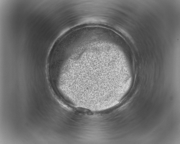 X0000068721029200605192248