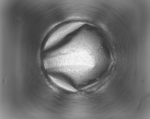 X0000068721030200605192248