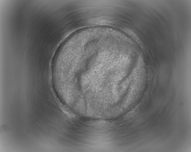 X0000068721031200605192248