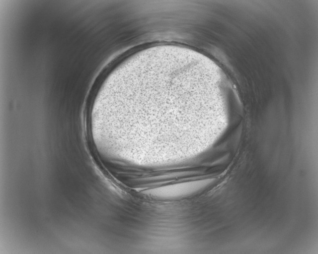 X0000068721032200605192248