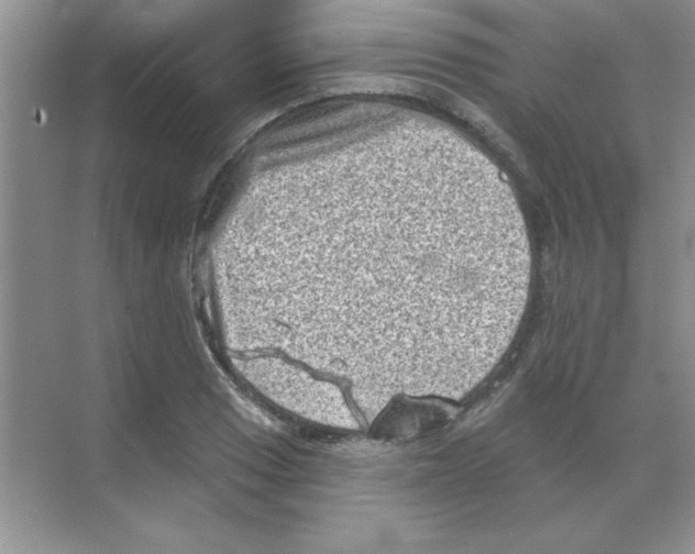 X0000068721033200605192248