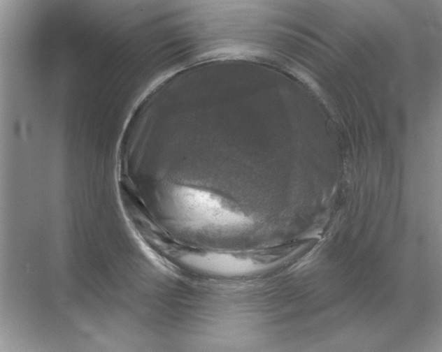 X0000068721034200605192248