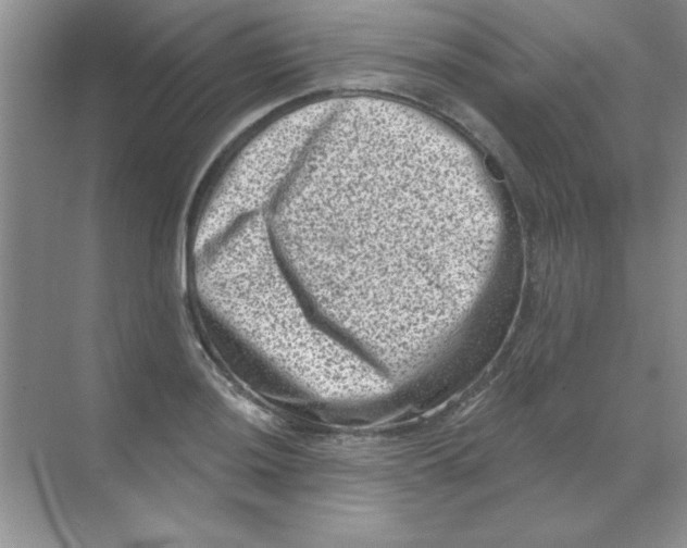 X0000068721036200605192248