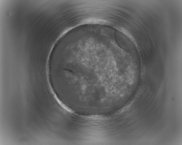 X0000068721037200605192248